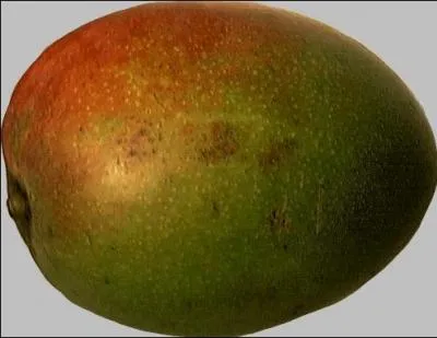 Quel est ce fruit riche en btacarotne ?