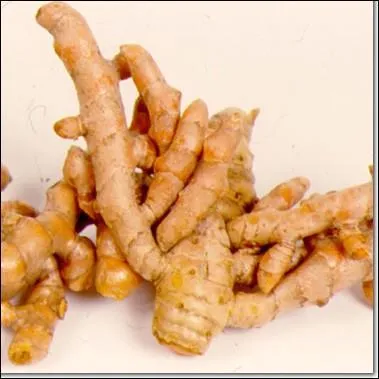 Quel est ce condiment ?