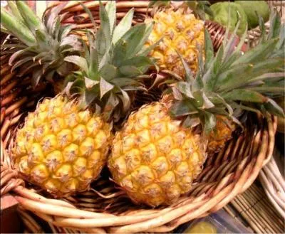Comment se nomme ce petit ananas juteux et sucr que l'on peut notamment trouver  la Runion et Mayotte ?