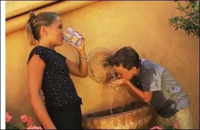 Dans certaines rgions franaises, nous pouvons retrouver dans l'eau du robinet plusieurs composs nocifs, lequel N'EST PAS retrouv ?