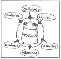 Que contient l'eau ?