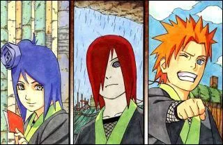 Qui sont les orphelins d'Ame ?