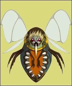 Strix est souvent compar  ...