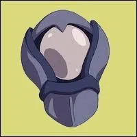 Cette amulette est celle de :