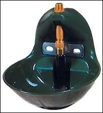 Combien le cheval boit-il par jour ?