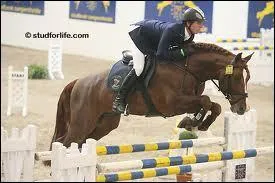 Quelles sont les phases du saut ?