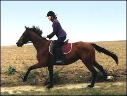 Au galop en quilibre, quelle position doit tu avoir ?