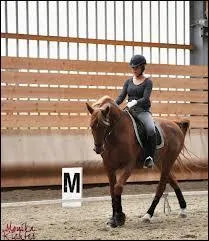 Comment se fait la diagonale ?