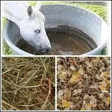 Dans quel ordre distribue-t-on les aliments ?