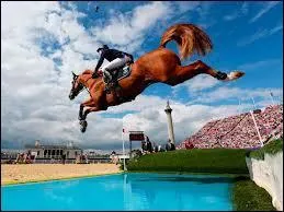 Comment s'appelle cet obstacle ?