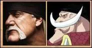 Ne trouvez-vous pas que Barbe Blanche et cette immense star du catch ont un air de ressemblance ? La moustache n'est pas dans le mme sens, certes, mais  part a, ils ont vraiment la mme tte ! Qui est ce sportif amricain ayant pour vrai nom Terrance Gene Bollea ?