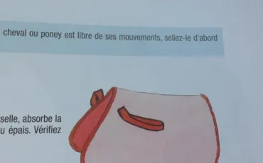 Quiz Galop 1