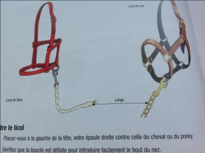 Comment s' appelle la bande, faite en cuir ou en nylon qui se passe au dessus des naseaux ?