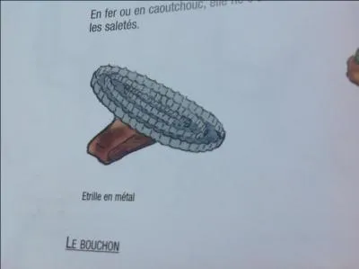 L'trille se passe dans des mouvements circulaires ou dans le contre sens du poil ?