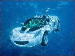 Sans y aller forcment en voiture, on gagne de nombreux degrs de fracheur en faisant de la plonge dans la grande bleue. Qu'appelle-t-on une combinaison de plonge  humide  ?