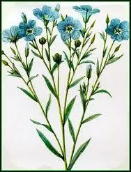 Sans aller nu, en tout cas en ville, ce qui serait considr comme de l'exhibition, on peut s'arer le corps en plein t en portant du lin, un tissu lger et frais. Mais quelle est la couleur qui rafrachit le plus ?