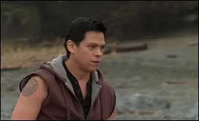 Qu'apprend-on sur Sam et sa bande ?