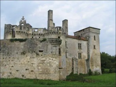 Quel est ce chteau-fort de plaine, situ au nord-ouest de la Dordogne, dont les douves taient autrefois alimentes par la Belle, et la dernire des quatre  baronnies du Prigord  ?