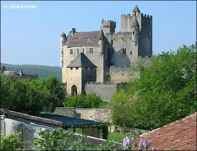 En face le prcdent, sur un peron rocheux, quel est ce chteau forteresse, une des quatre  baronnies du Prigord  ?