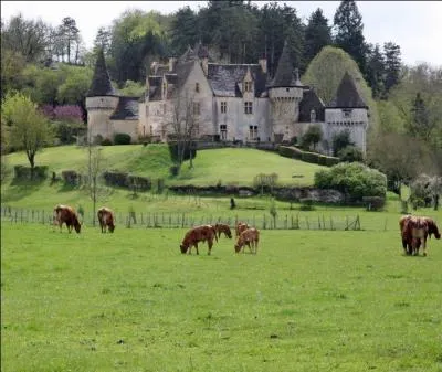 Quel est ce  chteau-ferme  du Sarladais, au creux d'un crin de verdure, surnomm le  Chteau de la Belle au bois dormant  ?