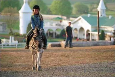 Zig-Zag a t trouv par ... lorsqu'il tait petit.