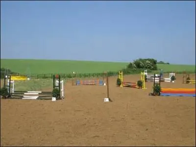 Comment s'appelle un centre questre rserv aux poneys shetlands et double poneys ?