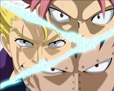 Qui est avec Natsu ?