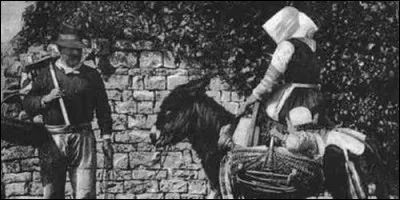 "L'Âne Culotte" est une série des années 60, tirée d'un roman. Qui en est l'auteur ?