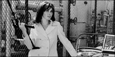 Comment s'appelle l'organisation pour laquelle travaille l'héroïne de "Annie, agent très spécial" ?