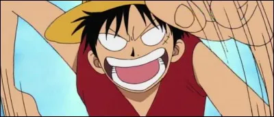 Épisode 13 - Qu'arrive-t-il à Luffy dans cet épisode, comme le montre l'illustration ?