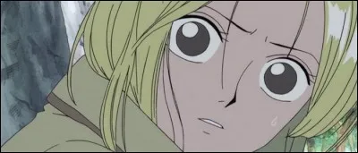 Épisode 15 - Où les trois pirates d'Usopp (Carotte, Oignon et Piment) emmènent-ils Kaya pour la cacher de Jango et de Kuro ?