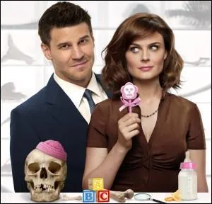 Est-ce que Booth et Brennan se sont-ils maris avant d'avoir Christine ?