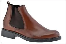 Quel est le nom de cette chaussure ?