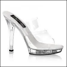 Quel est le nom de cette chaussure ?