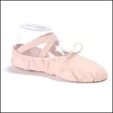 Quel est le nom de cette chaussure ?