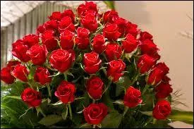 Comment s'appelle cette fleur, reine de toutes ?