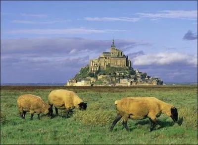 Quels animaux, dont la viande est trs rpute sont levs dans la baie du Mont Saint-Michel ?