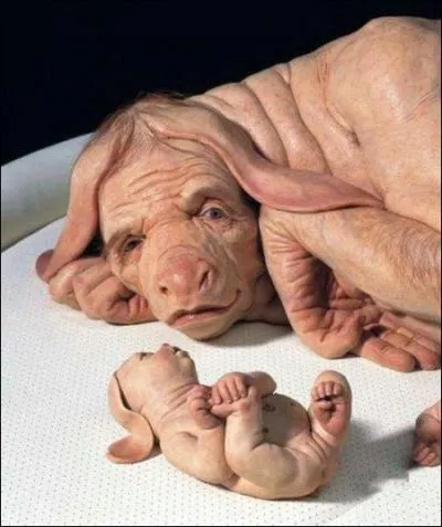 Quel est cet animal ?