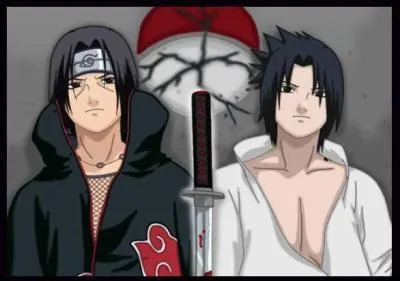 D'aprs Sasuke, de quel style tait son combat contre Itachi ?