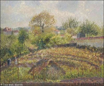 Qui a peint   La vigne, après-midi , en 1902 ?