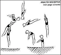 Quelle est cette figure ?