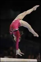 Quelle est cette figure ?