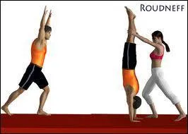 Quelle est cette figure ?