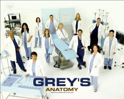 Dans la srie  Grey's Anatomy , comment s'appellent les cinq jeunes chirurgiens qui apparaissent au dbut de la srie ?