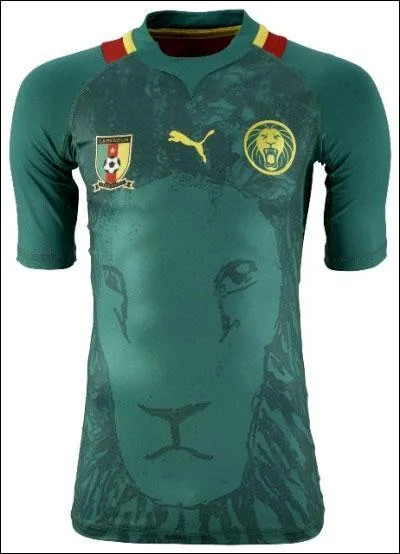 Quel pays joue avec ce maillot vert ?