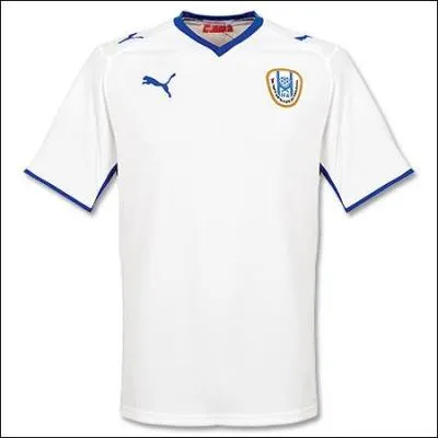 Quel pays joue avec ce maillot bleu ?