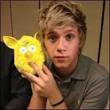 Niall Horan est n le ...