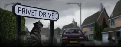 Que fait le  chat  la deuxi�me fois que l'oncle Vernon le voit ?