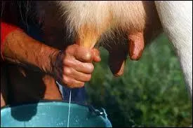 Combien sommes-nous pour faire des tas de fautes d'inattention ?