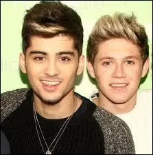 Avec qui Liam pourrait-il habiter sans problmes ?